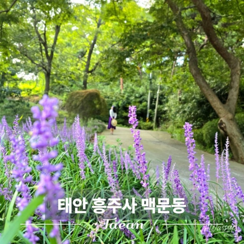 환상적인 장면
